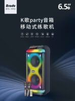 Brodu BTS-1992 RGB Karaoke Speaker - Image 6